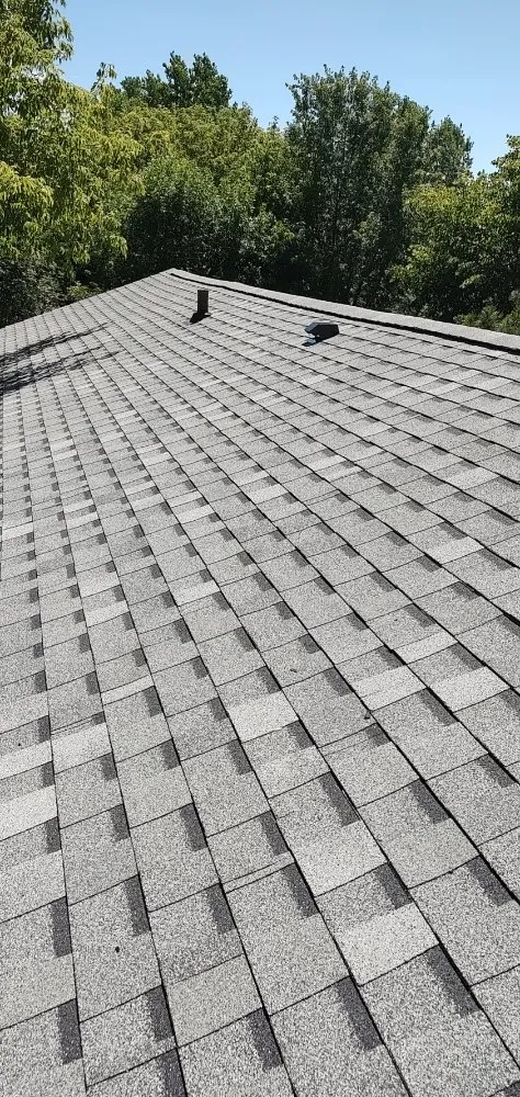 Slide of Old Dogs Construction