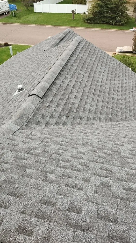 Slide of Old Dogs Construction