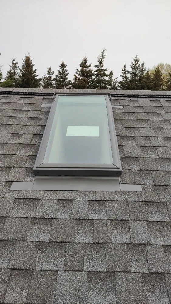 Slide of Old Dogs Construction