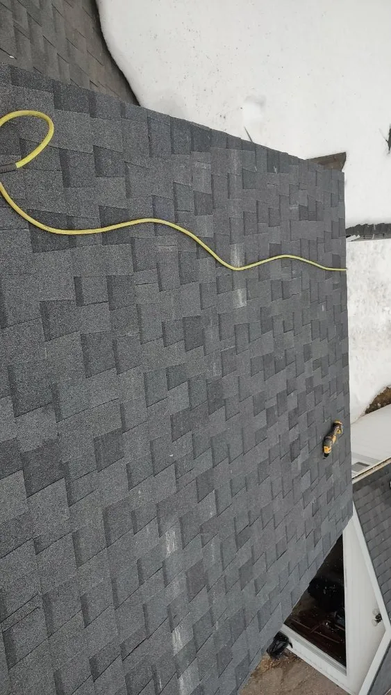 Slide of Old Dogs Construction