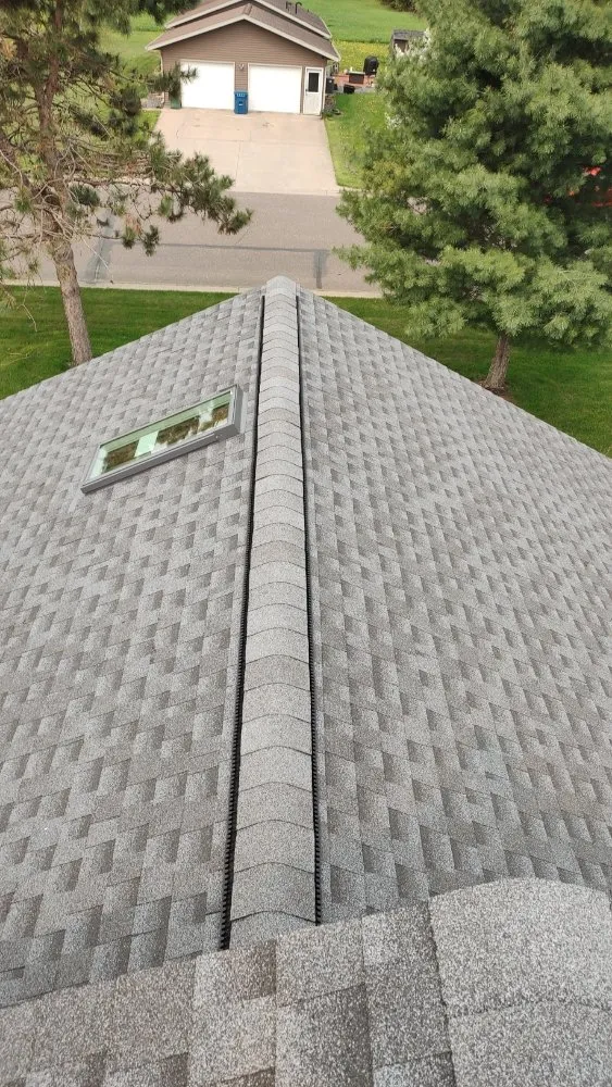 Slide of Old Dogs Construction