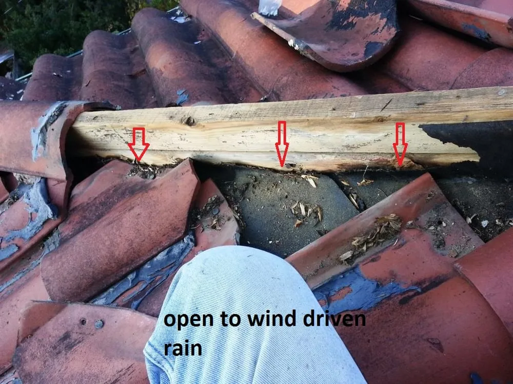 Slide of Olde World Masters