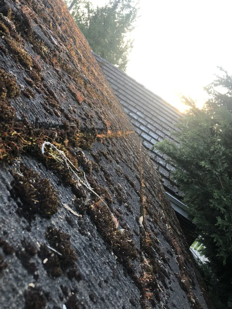 Slide of Oleksandr Tsybenko