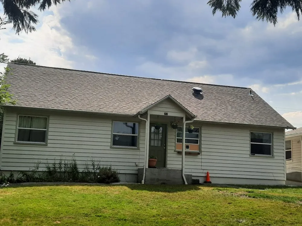 Slide of Olive Tree Construction