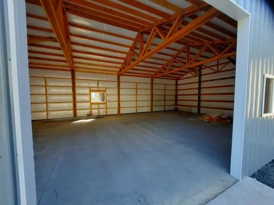 Olive Tree Construction