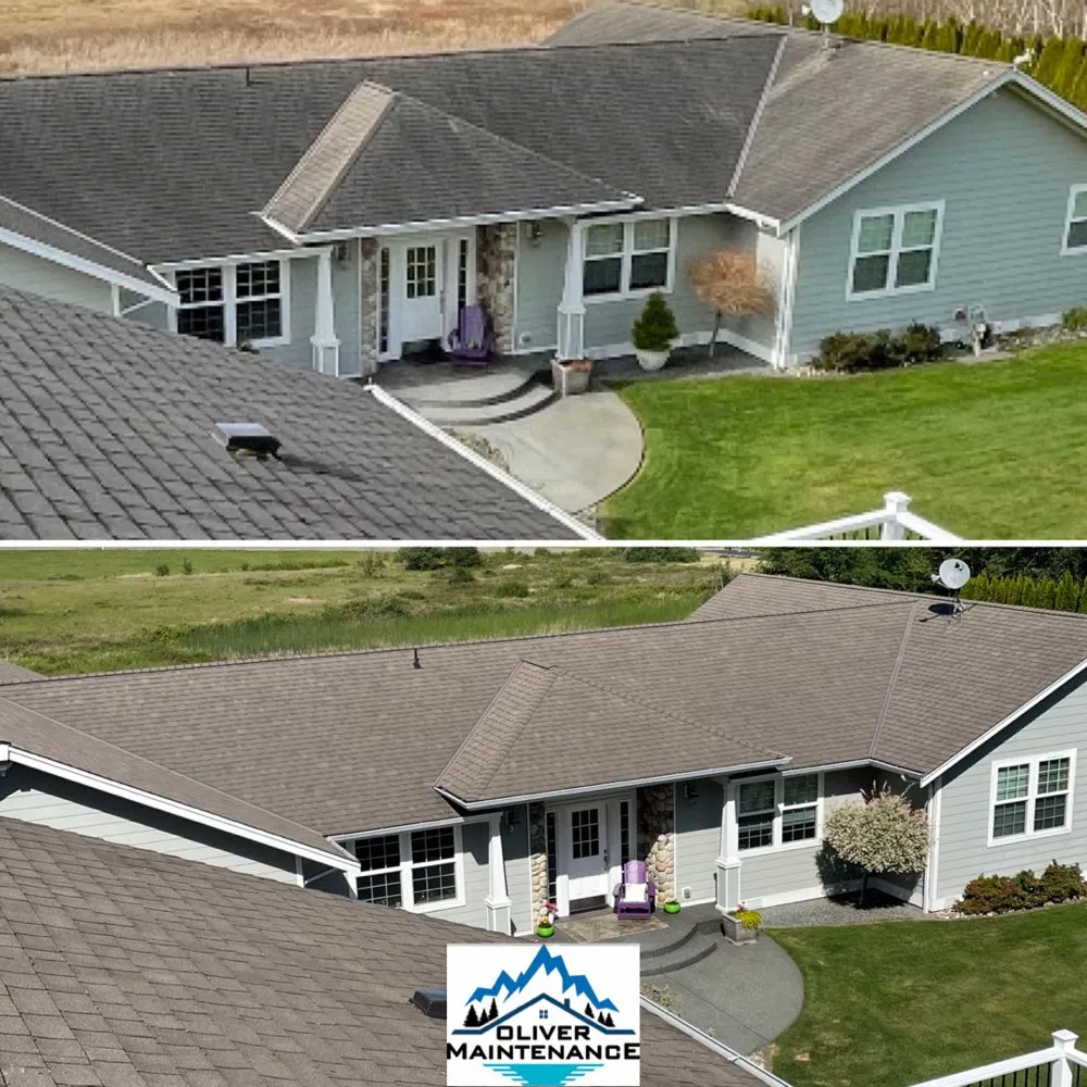 Slide of Oliver Maintenance