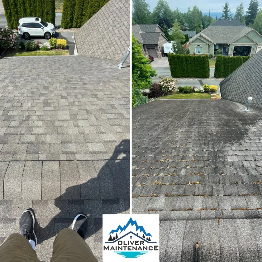 Slide of Oliver Maintenance