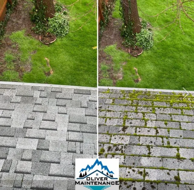 Slide of Oliver Maintenance