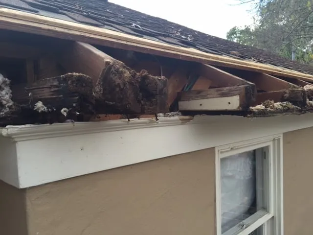 Slide of Olivo Roofing