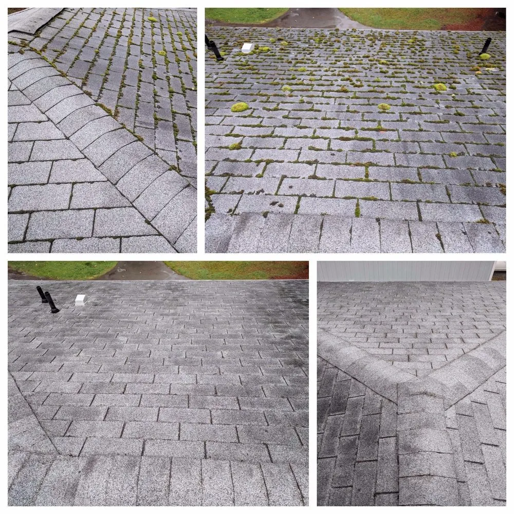 Expert roof replacement in Thurston County, WA by Olympia Moss Removal