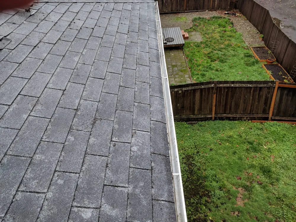 Top-rated roof inspection in Thurston County, WA - Olympia Moss Removal