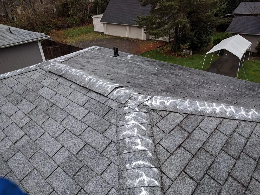 Emergency shingle roofing service experts serving Thurston County, WA - Olympia Moss Removal