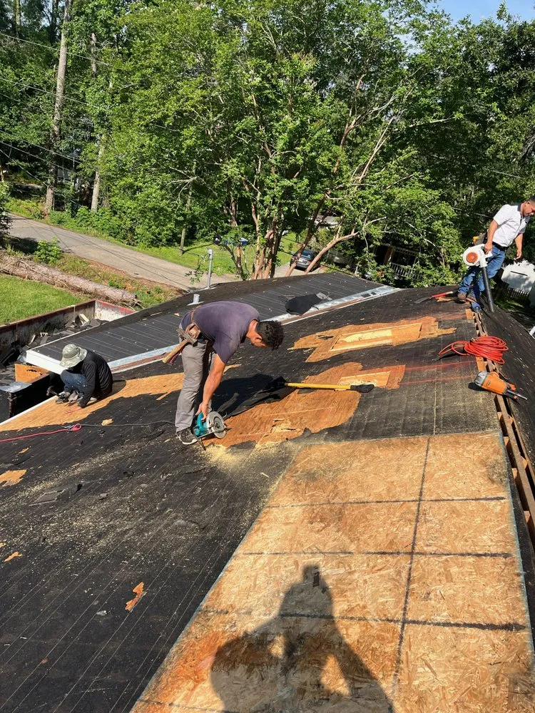 Slide of Olympian Roof