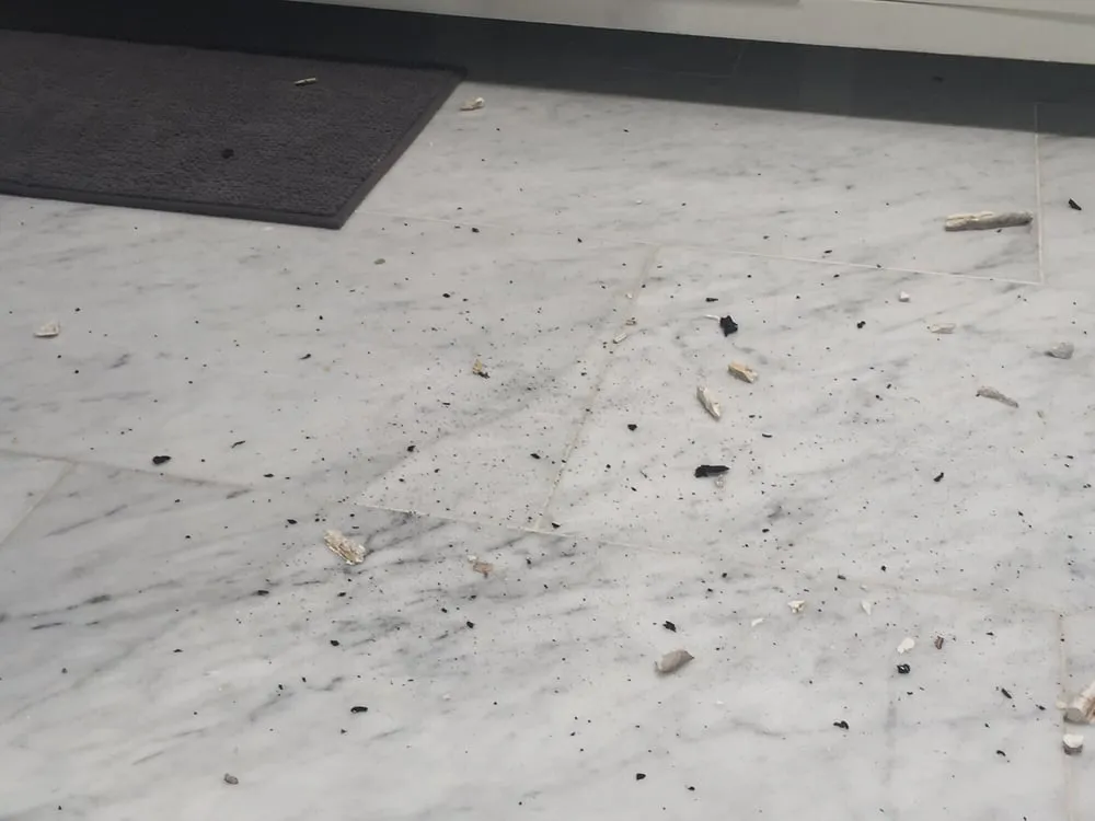 Slide of Olympic Roofing