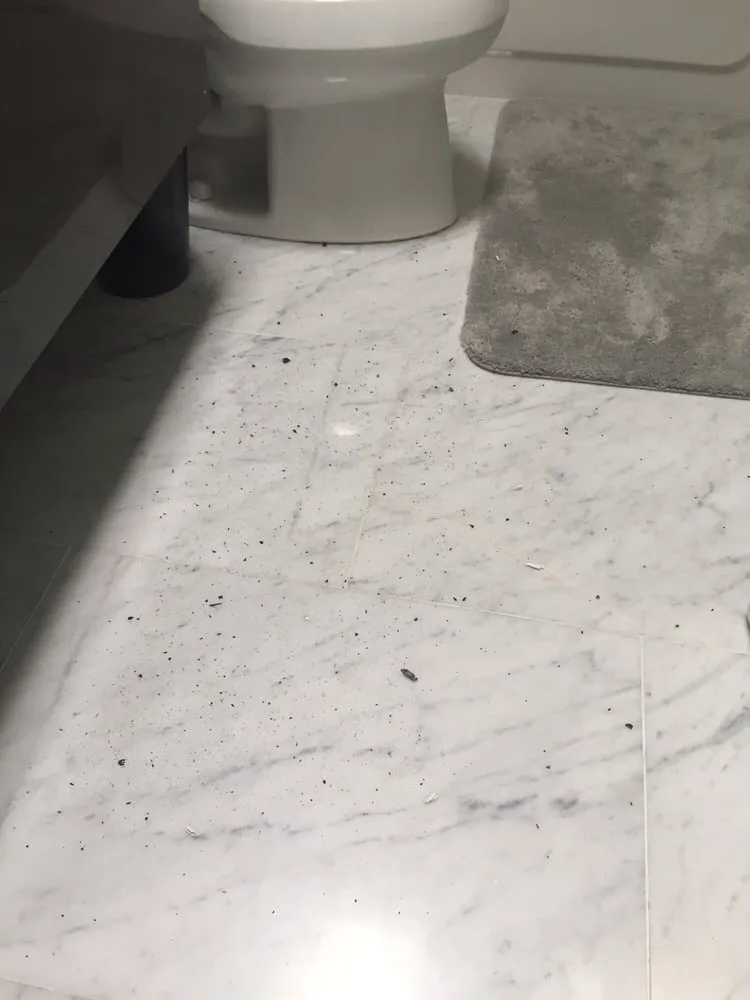 Slide of Olympic Roofing