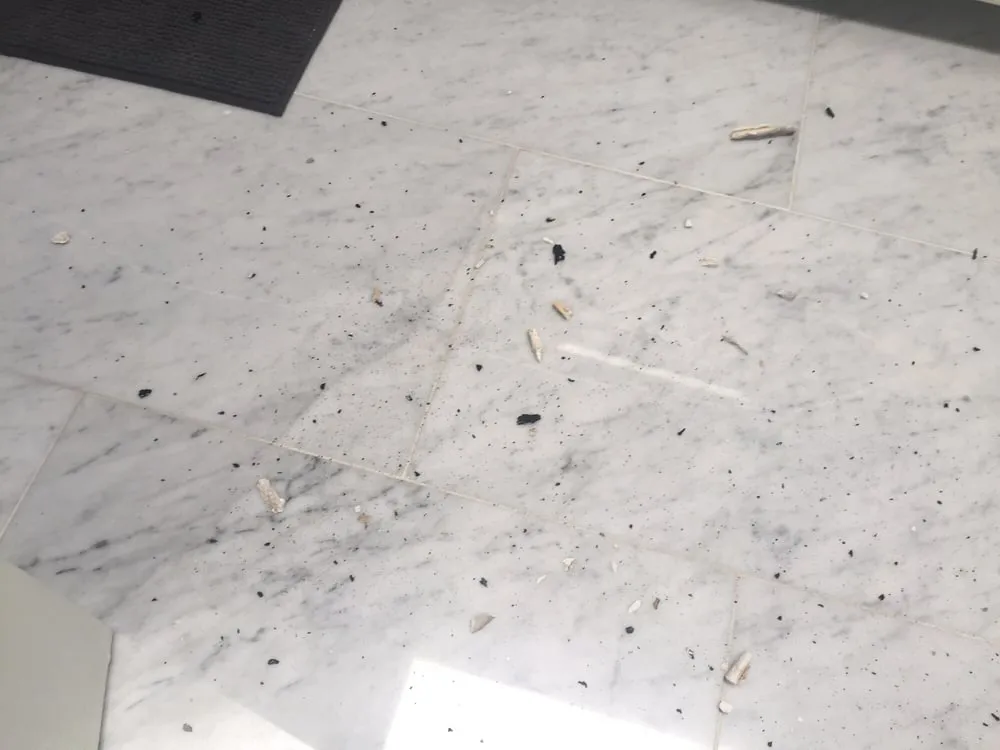 Slide of Olympic Roofing