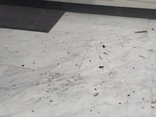 Olympic Roofing Logo