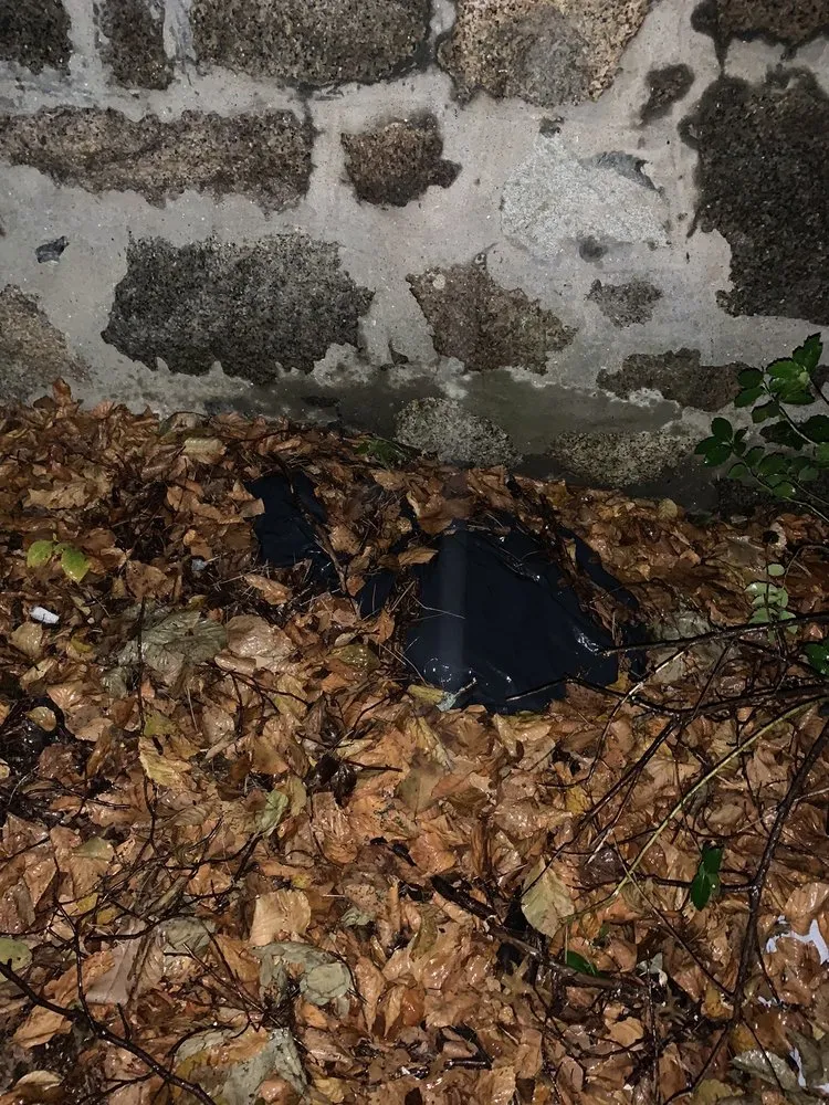 Slide of Olympic Roofing