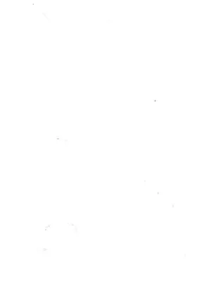 Olympic Steel Logo