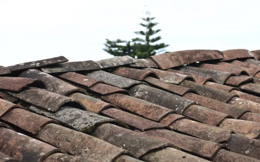 Slide of On Deck Roofing