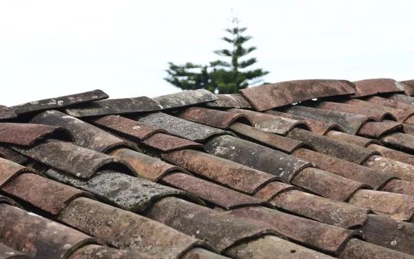 On Deck Roofing Logo