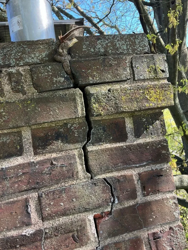 Slide of One 4 All Construction