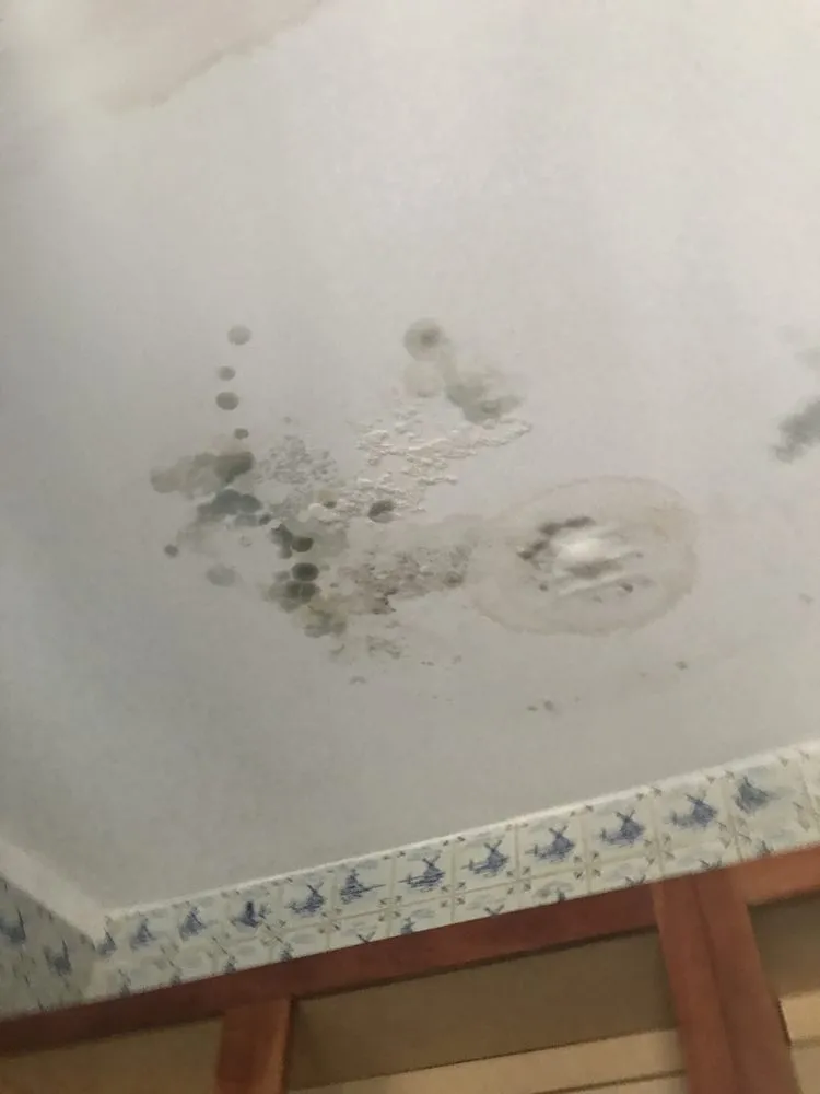 Slide of One Call Roofing