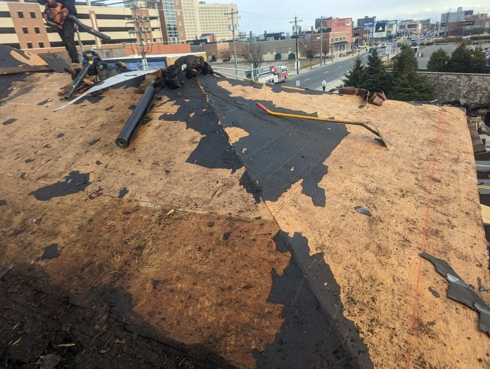 Slide of One Day Roofer