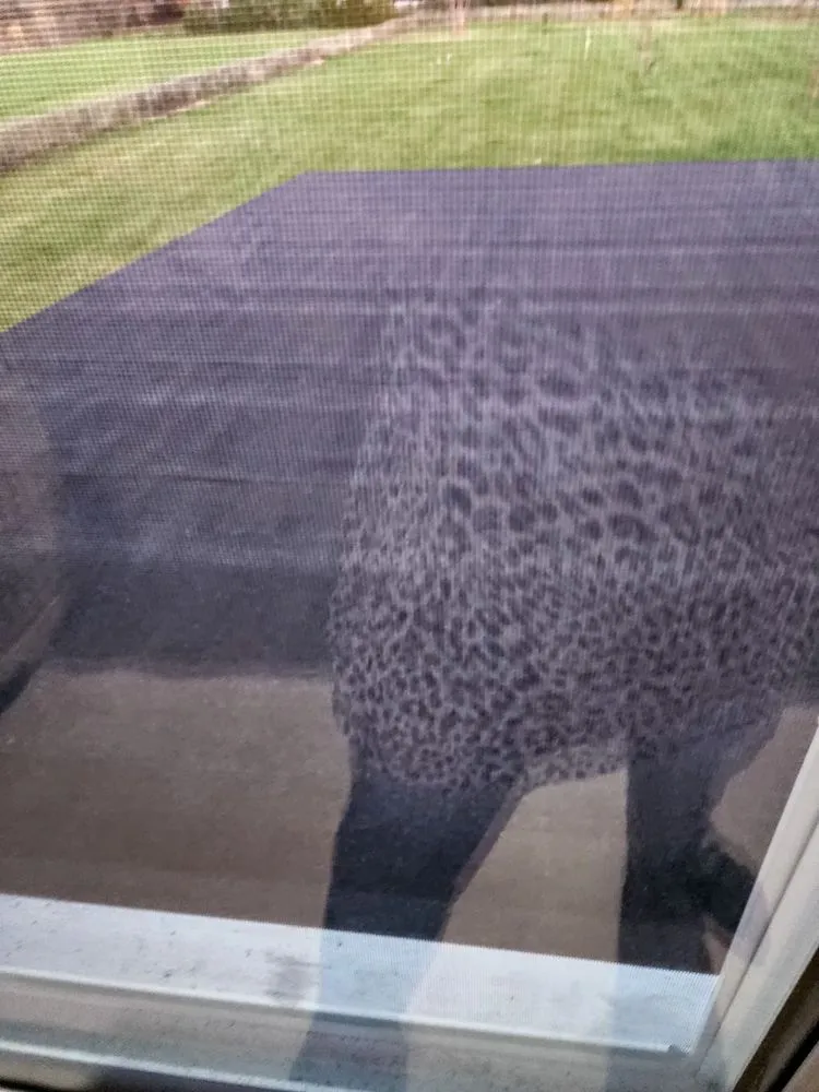 Slide of One Day Roofing