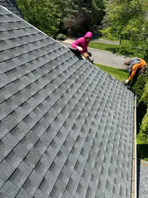 Slide of One New View Construction