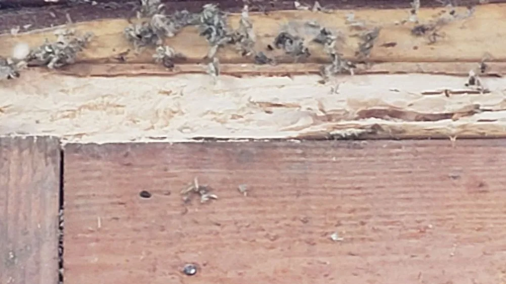 Slide of One Sixth Construction