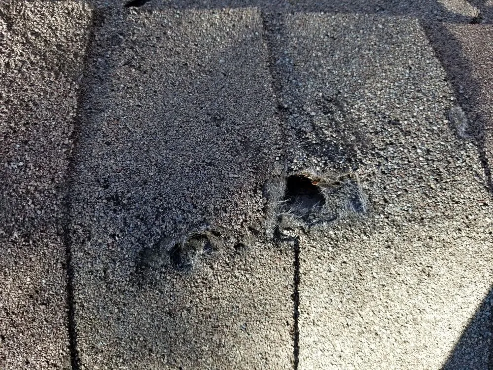 Slide of One Source Roofing & Restorations