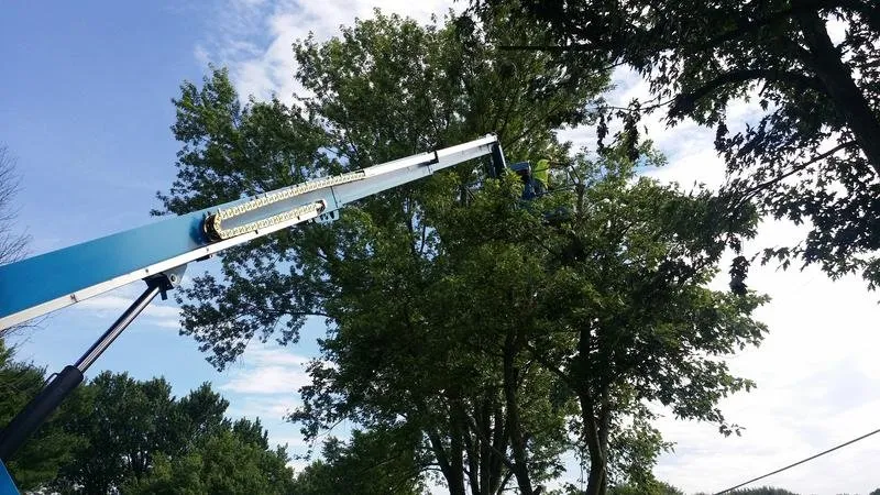 Slide of One Stop Construction & Cleaners