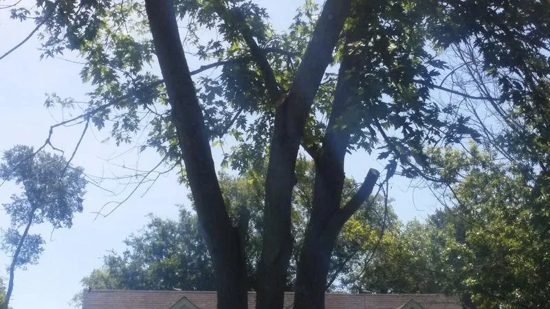 Slide of One Stop Construction & Cleaners