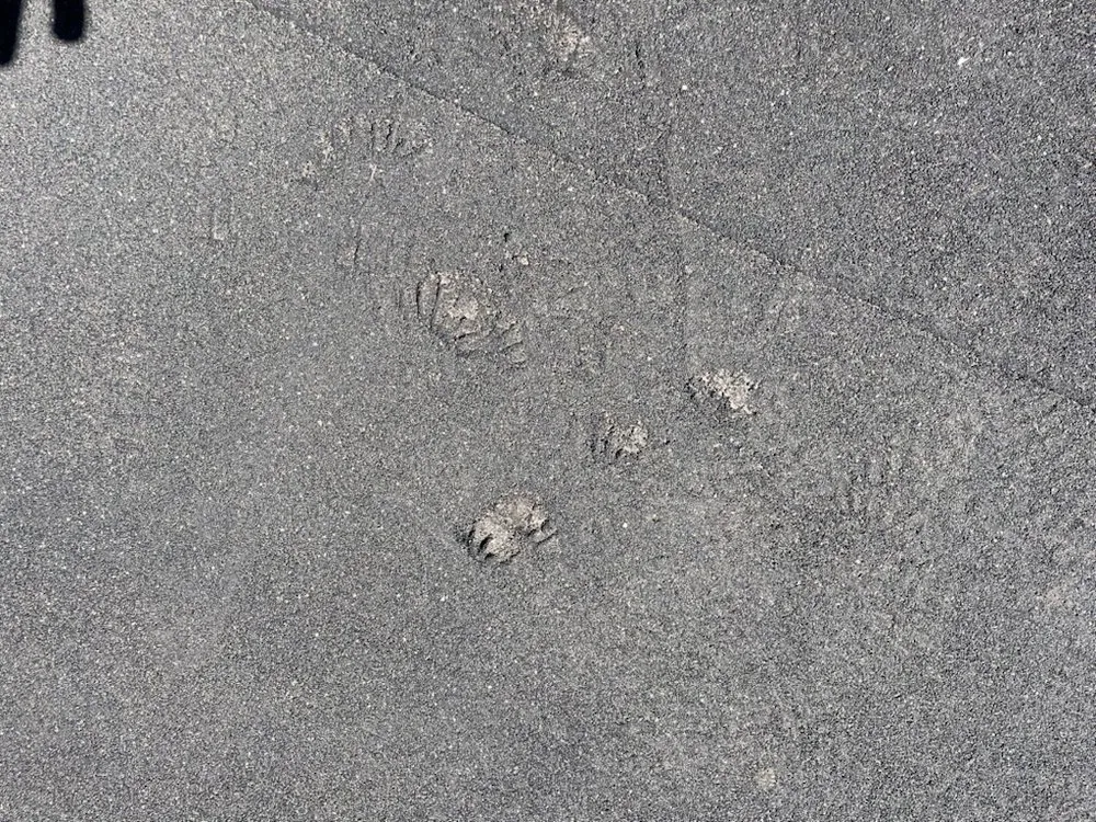 Slide of One Stop Roofers