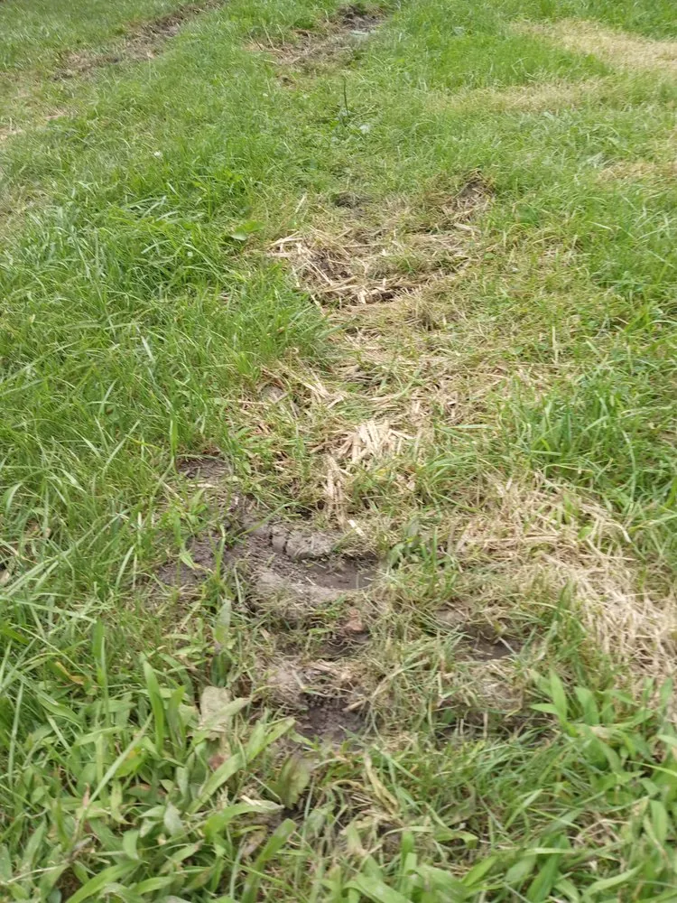 Slide of Ontario Exteriors