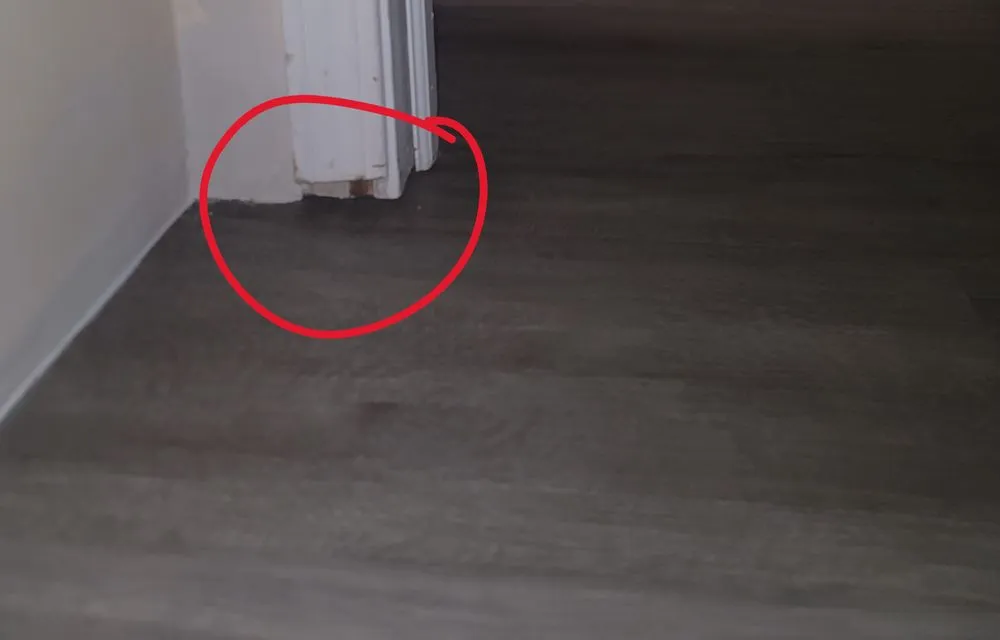 Slide of Optima Construction & Renovation