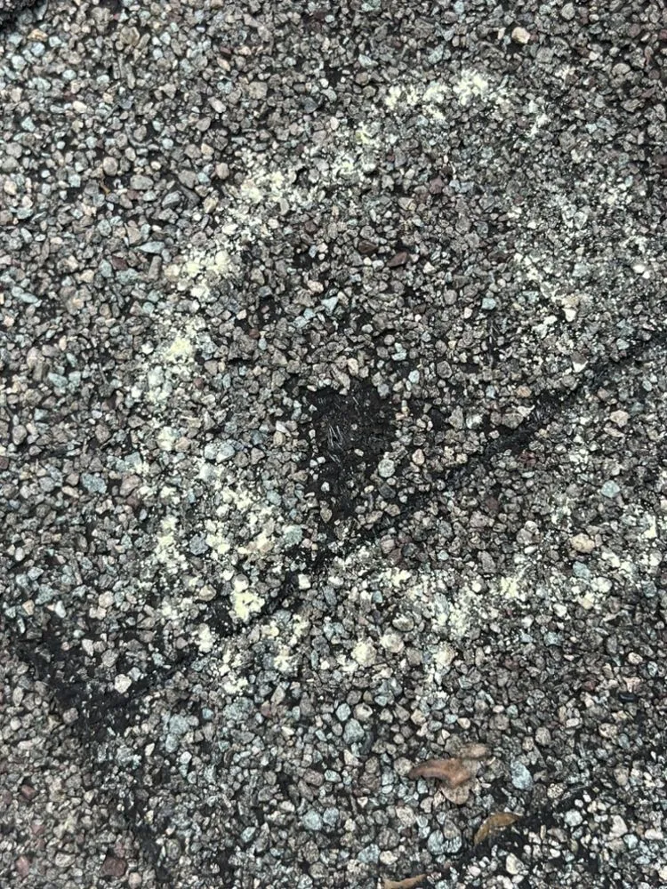 Slide of Optimus Roofing