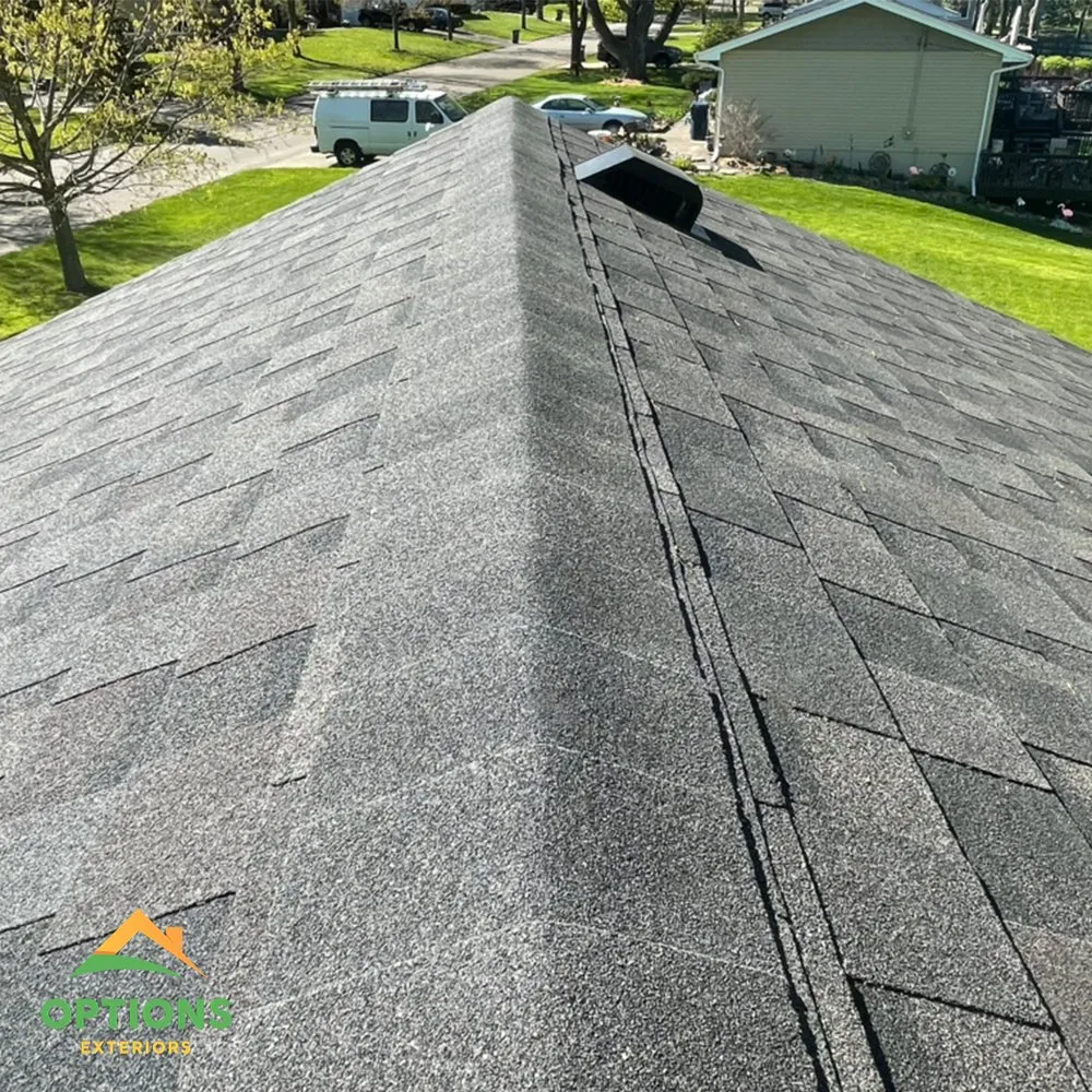 Slide of Options Exteriors