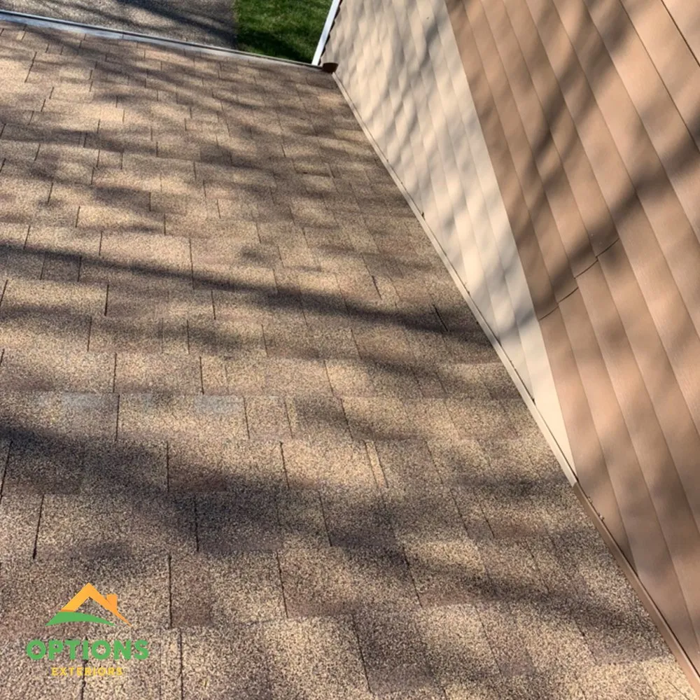 Slide of Options Exteriors