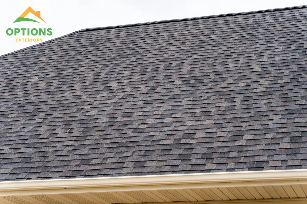 Slide of Options Exteriors