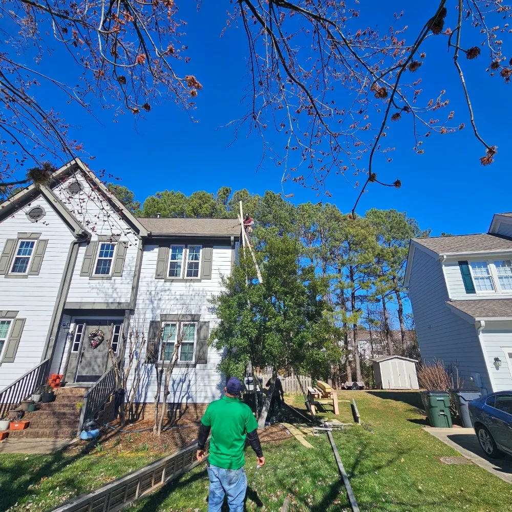 Slide of Orange General Contracting