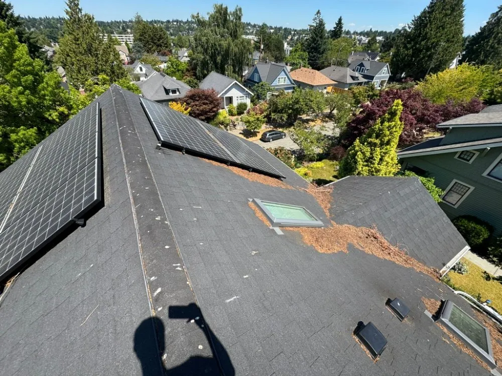 Slide of Orca Roof Care