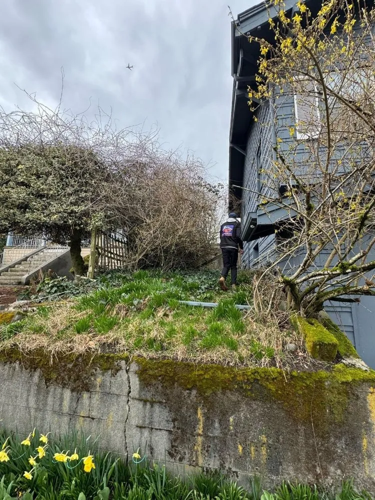 Slide of Orca Roof Care