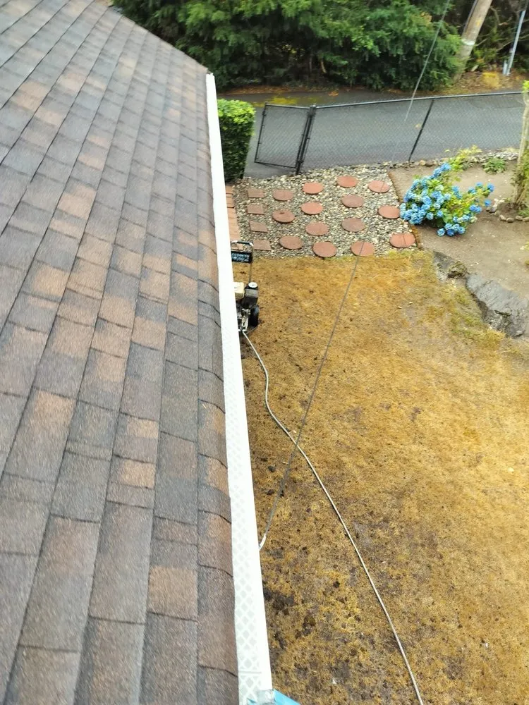 Slide of Orca Roof Care