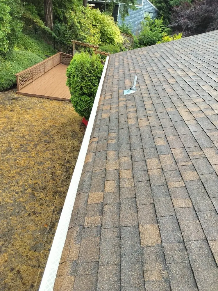 Slide of Orca Roof Care