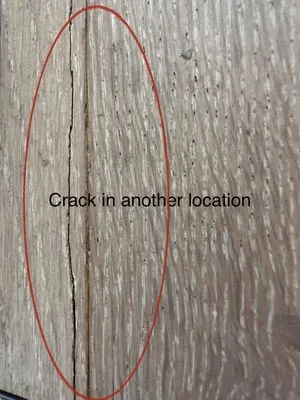 Oregon Construction 360 Logo