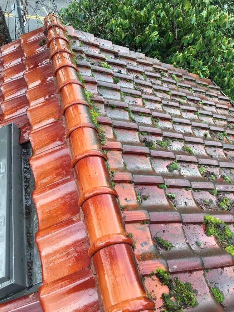 Slide of Oregon Roof Care