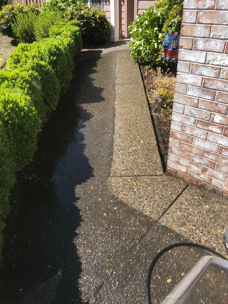 Slide of Oregon Roof Cleaning