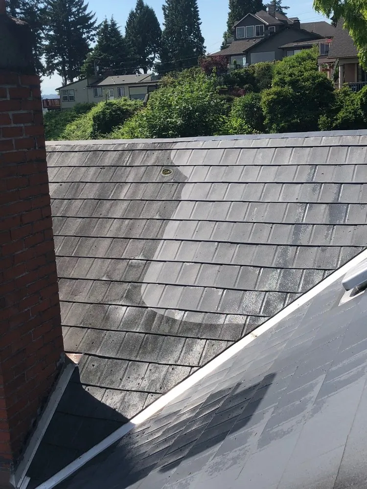 Slide of Oregon Roof Cleaning